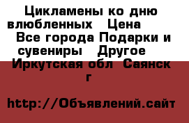 Цикламены ко дню влюбленных › Цена ­ 180 - Все города Подарки и сувениры » Другое   . Иркутская обл.,Саянск г.